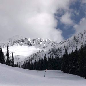 Meet your Posher, Lynne